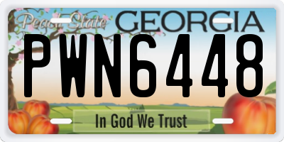 GA license plate PWN6448
