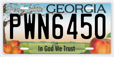 GA license plate PWN6450