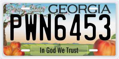 GA license plate PWN6453
