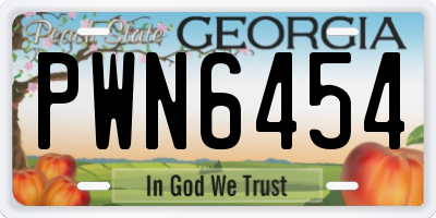 GA license plate PWN6454