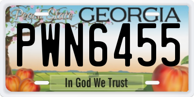 GA license plate PWN6455