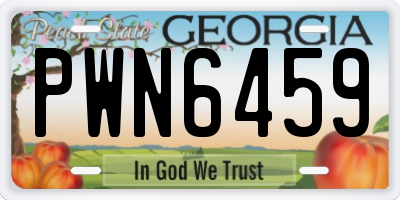 GA license plate PWN6459