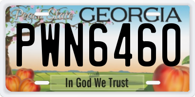 GA license plate PWN6460