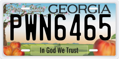 GA license plate PWN6465