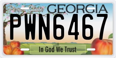 GA license plate PWN6467