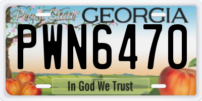 GA license plate PWN6470