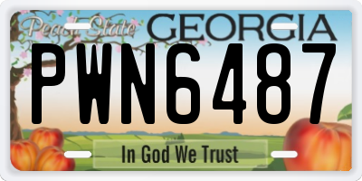 GA license plate PWN6487