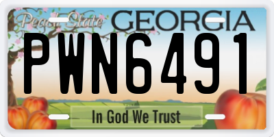 GA license plate PWN6491