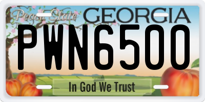 GA license plate PWN6500