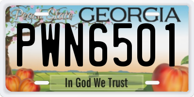 GA license plate PWN6501