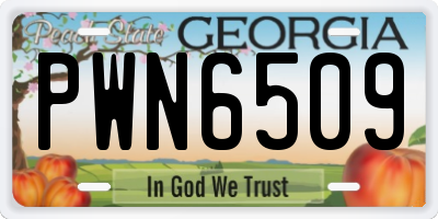 GA license plate PWN6509