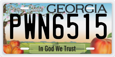 GA license plate PWN6515