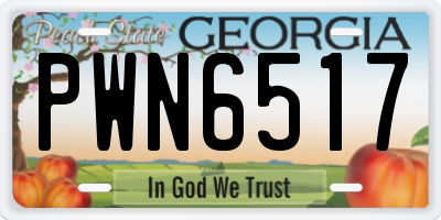 GA license plate PWN6517