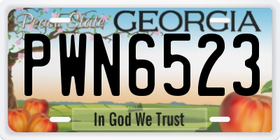 GA license plate PWN6523
