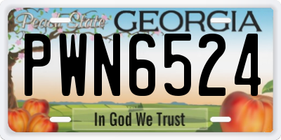 GA license plate PWN6524