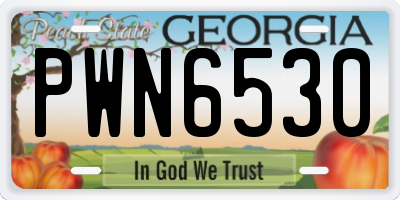 GA license plate PWN6530