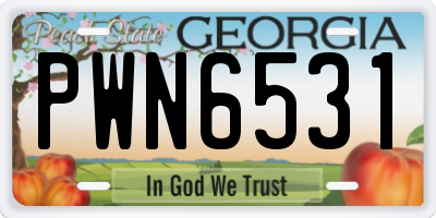 GA license plate PWN6531
