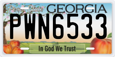 GA license plate PWN6533