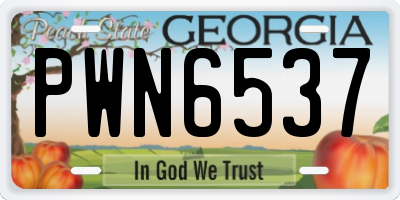 GA license plate PWN6537