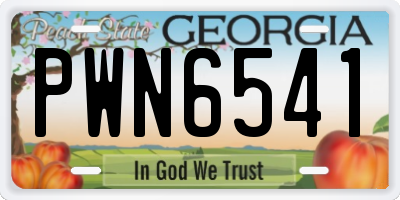 GA license plate PWN6541
