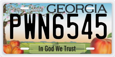 GA license plate PWN6545
