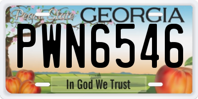 GA license plate PWN6546