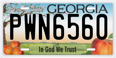 GA license plate PWN6560