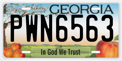 GA license plate PWN6563