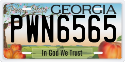 GA license plate PWN6565