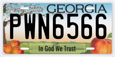 GA license plate PWN6566