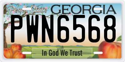 GA license plate PWN6568
