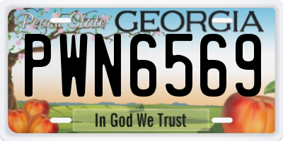 GA license plate PWN6569