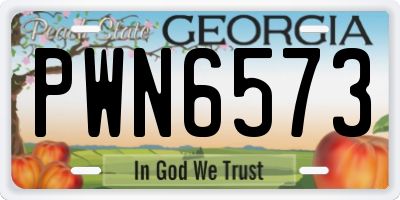 GA license plate PWN6573