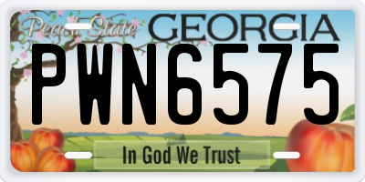 GA license plate PWN6575