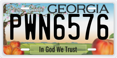 GA license plate PWN6576
