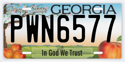 GA license plate PWN6577