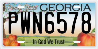 GA license plate PWN6578