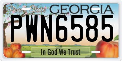 GA license plate PWN6585
