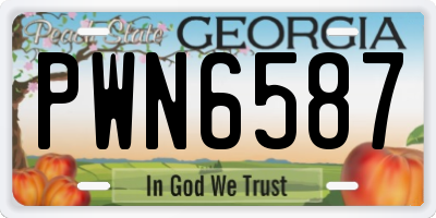 GA license plate PWN6587