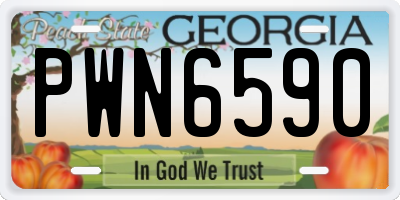 GA license plate PWN6590