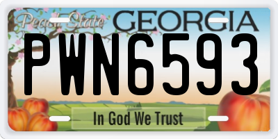 GA license plate PWN6593