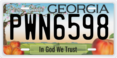 GA license plate PWN6598
