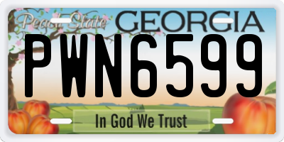 GA license plate PWN6599