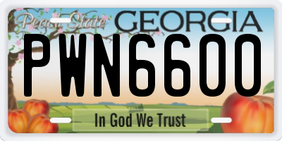 GA license plate PWN6600