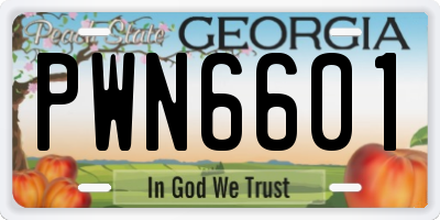 GA license plate PWN6601
