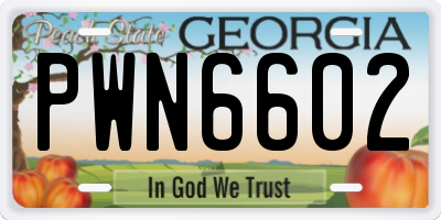 GA license plate PWN6602