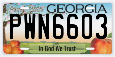 GA license plate PWN6603