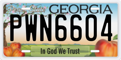 GA license plate PWN6604