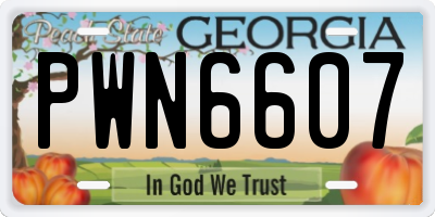 GA license plate PWN6607