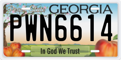 GA license plate PWN6614